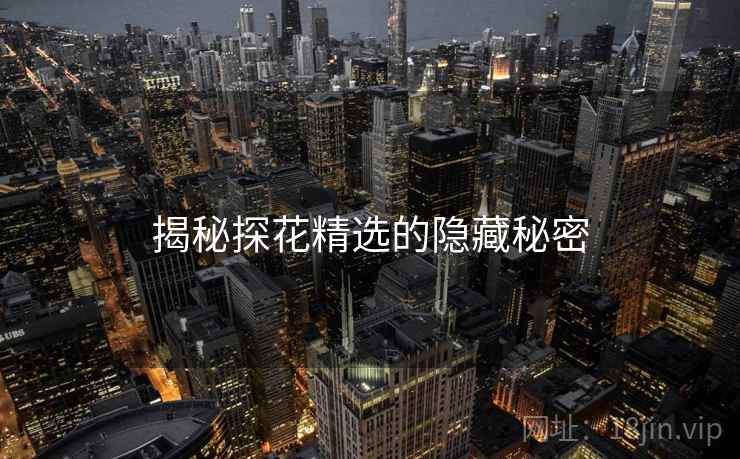 揭秘探花精选的隐藏秘密