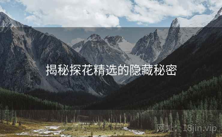 揭秘探花精选的隐藏秘密