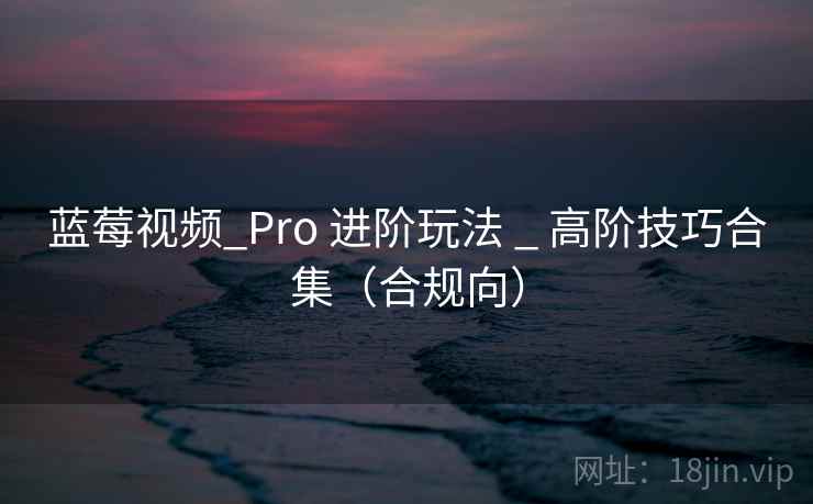 蓝莓视频_Pro 进阶玩法 _ 高阶技巧合集（合规向）