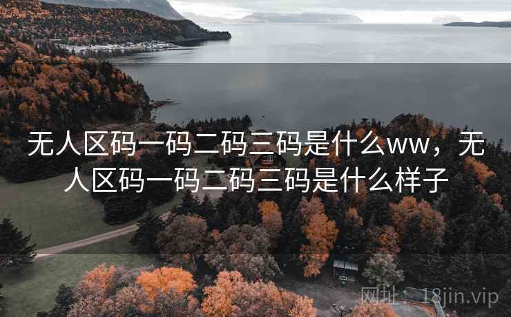 无人区码一码二码三码是什么ww,无人区码一码二码三码是什么样子